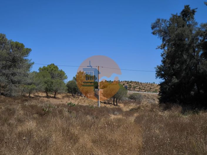 Image No.4-Plot for sale