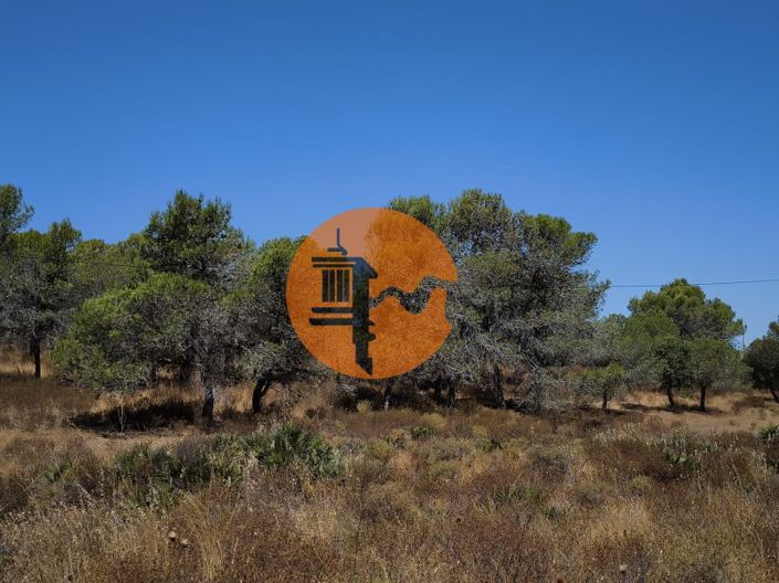 Image No.5-Terrain à vendre à Castro Marim