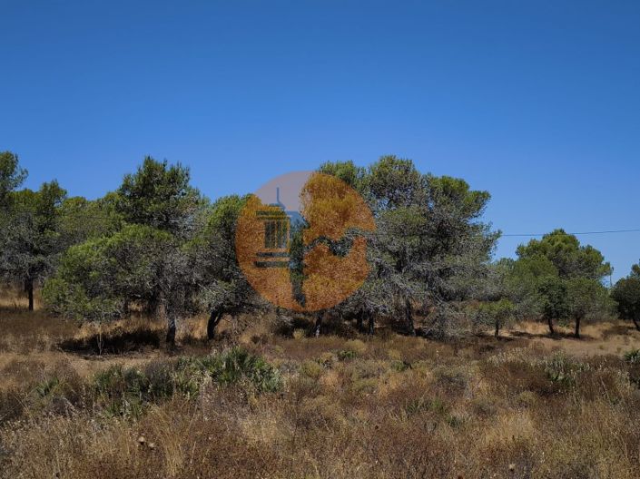 Image No.5-Plot for sale