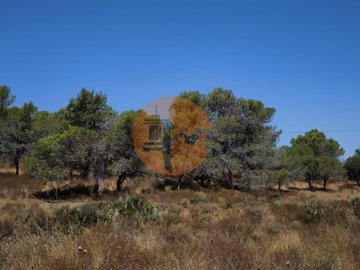 id4b517f01-0000-0500-0000-00001366b82e