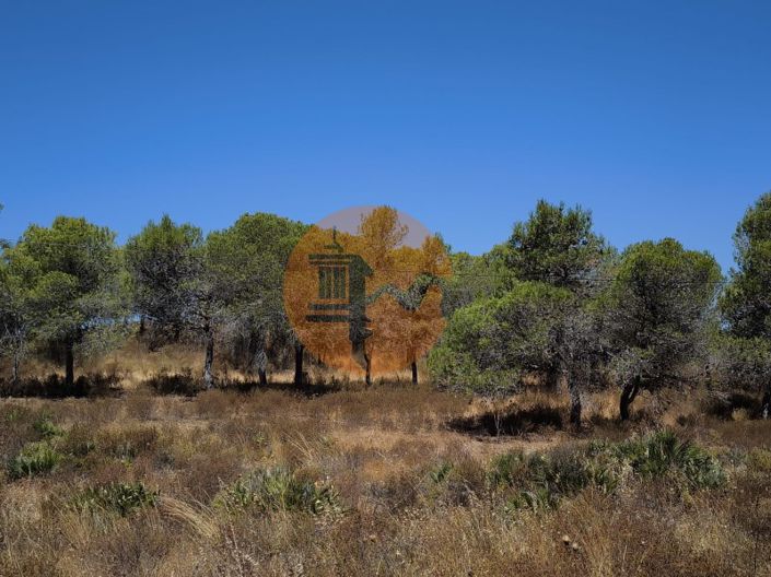 Image No.8-Plot for sale