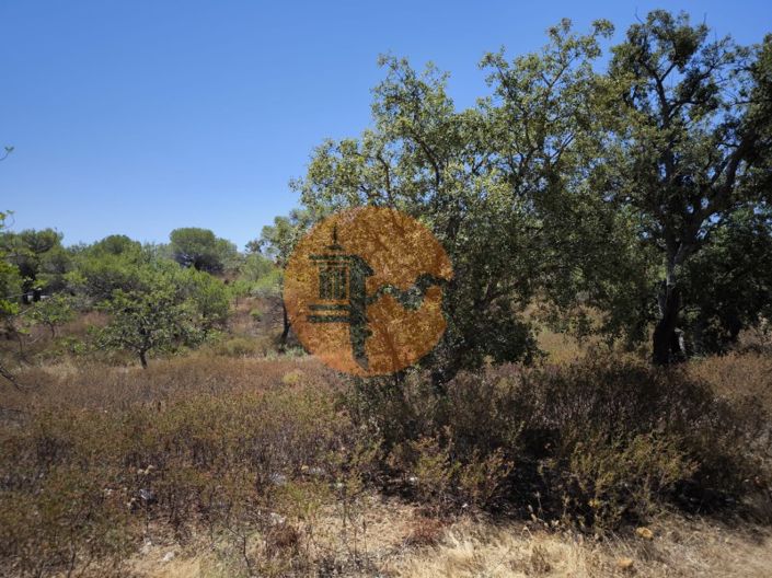 Image No.15-Terrain à vendre à Castro Marim