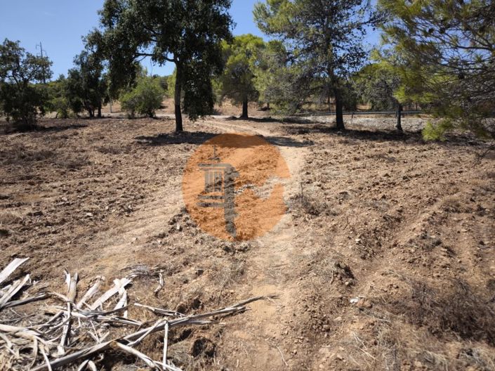 Image No.3-Terrain à vendre à Castro Marim