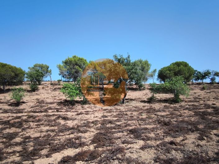 Image No.33-Terrain à vendre à Castro Marim