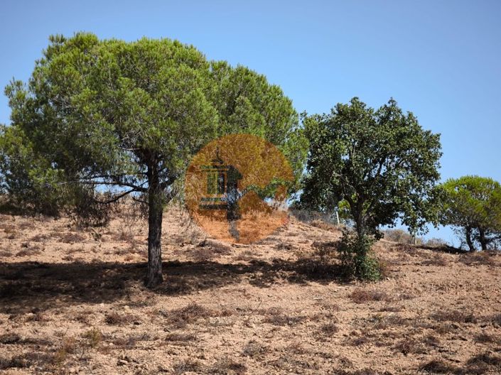 Image No.35-Terrain à vendre à Castro Marim