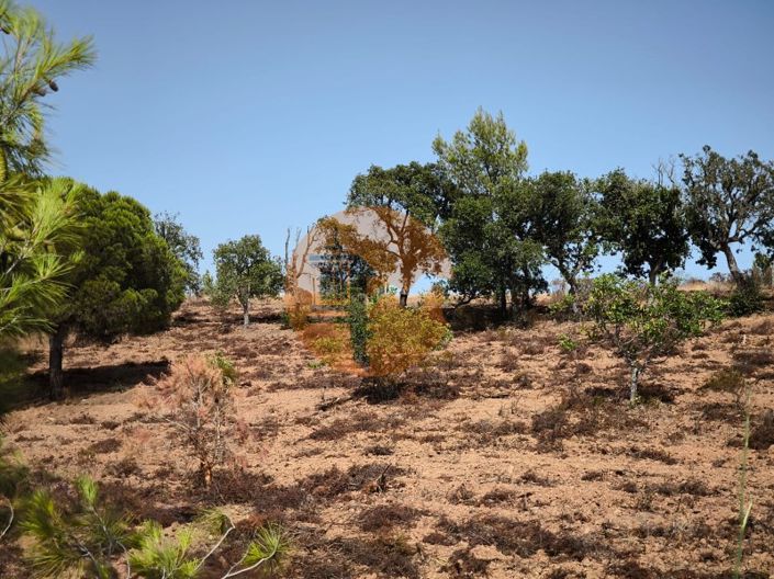 Image No.36-Terrain à vendre à Castro Marim