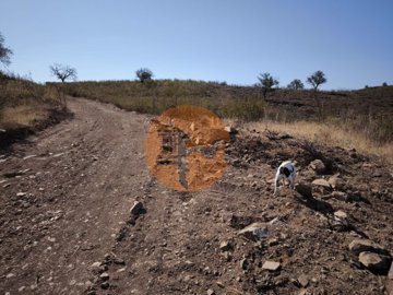 id41298001-0000-0500-0000-0000138163d9