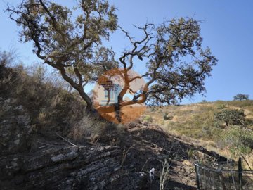 id41298001-0000-0500-0000-0000138163e1