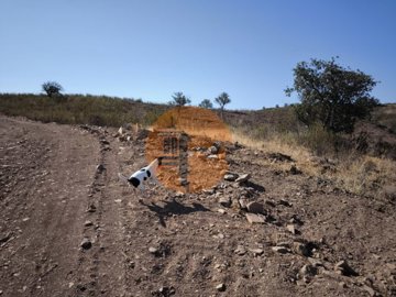 id41298001-0000-0500-0000-0000138163da