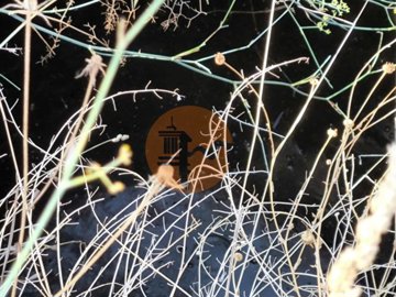 id41298001-0000-0500-0000-0000138163e2