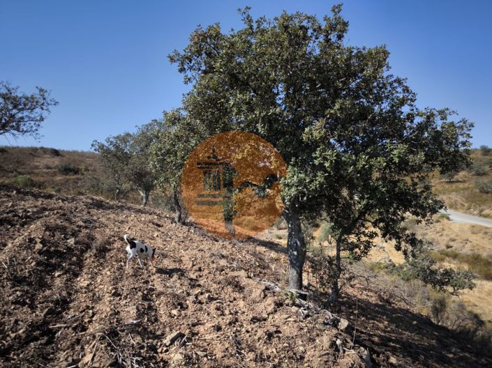 Image No.19-Terrain à vendre à Castro Marim