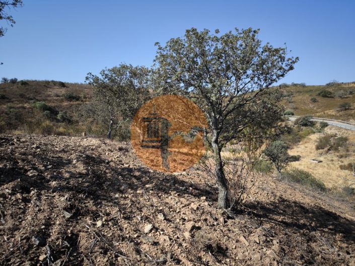 Image No.20-Terrain à vendre à Castro Marim