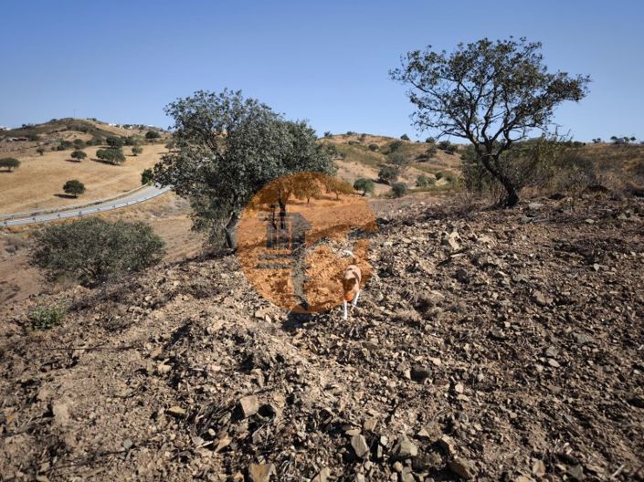 Image No.26-Terrain à vendre à Castro Marim
