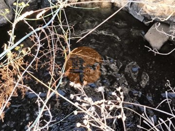 id41298001-0000-0500-0000-0000138163e3