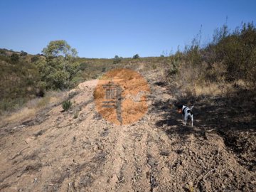 id41298001-0000-0500-0000-0000138163d8