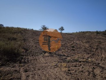 id41298001-0000-0500-0000-0000138163dc