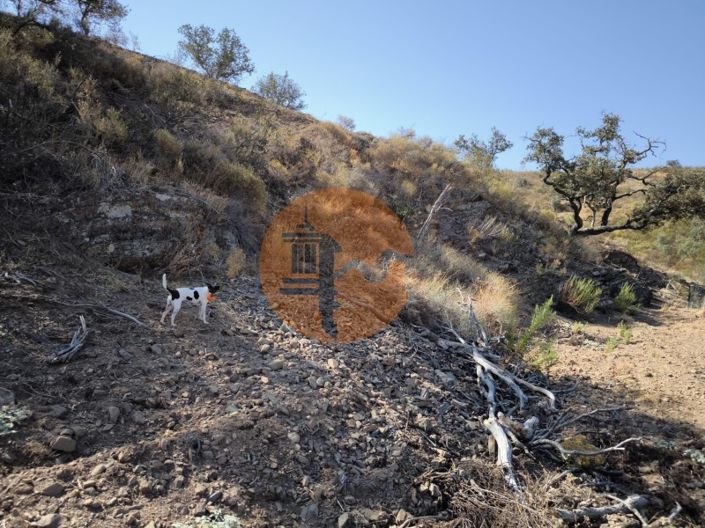 Image No.7-Terrain à vendre à Castro Marim