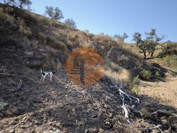 id41298001-0000-0500-0000-0000138163dd