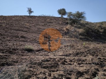 id41298001-0000-0500-0000-0000138163de