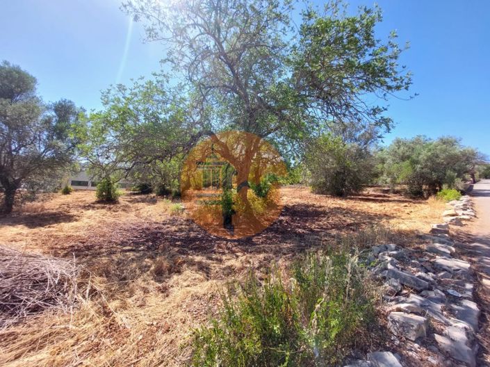 Image No.2-Plot for sale