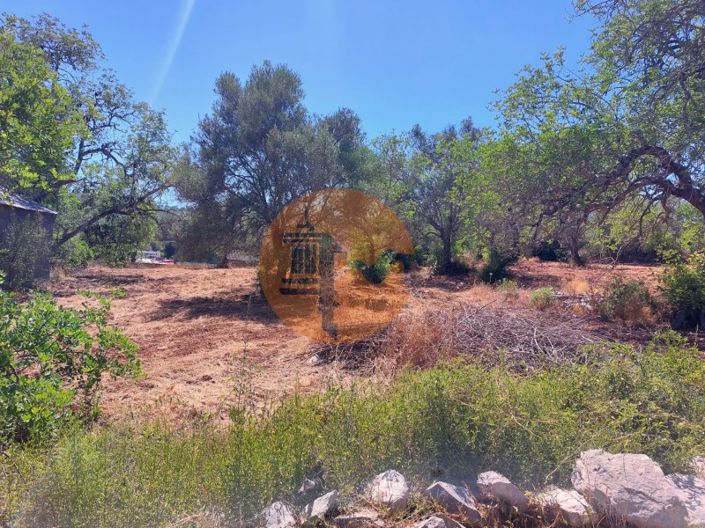 Image No.9-Plot for sale