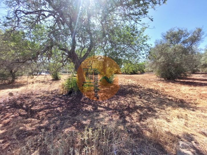 Image No.10-Plot for sale