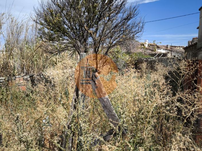 Image No.23-3 Bed House for sale