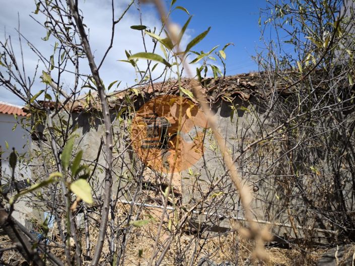 Image No.16-Ferme de 1 chambre à vendre à Castro Marim