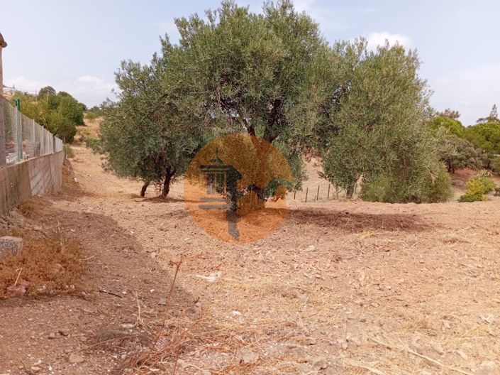 Image No.8-Plot for sale