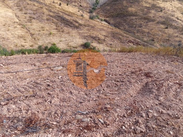 Image No.11-Plot for sale