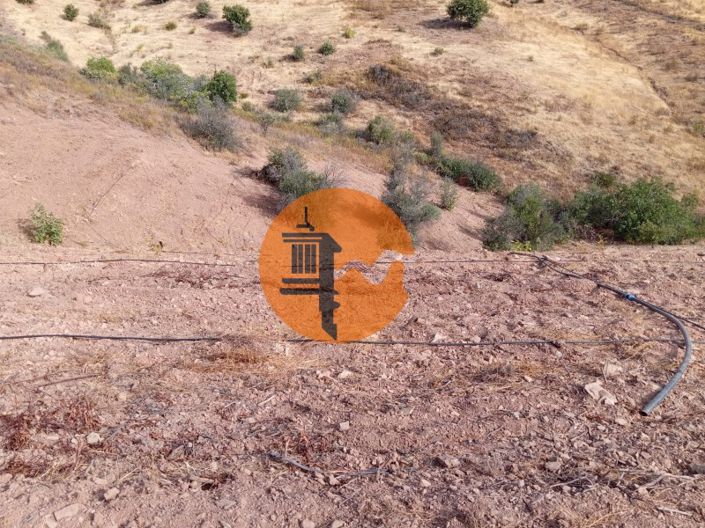 Image No.5-Plot for sale