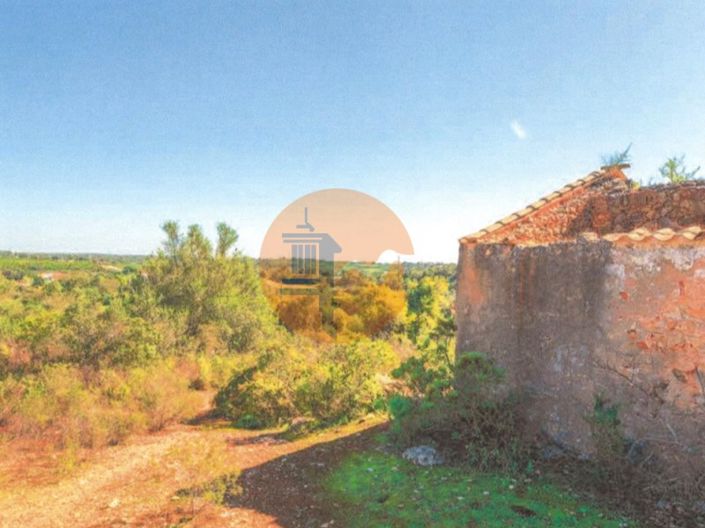 Image No.2-Plot for sale