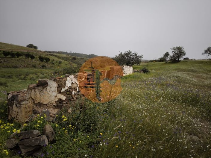 Image No.23-Plot for sale