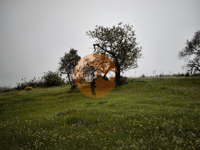 Image No.25-Plot for sale