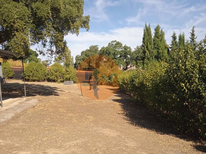 Image No.15-4 Bed House for sale