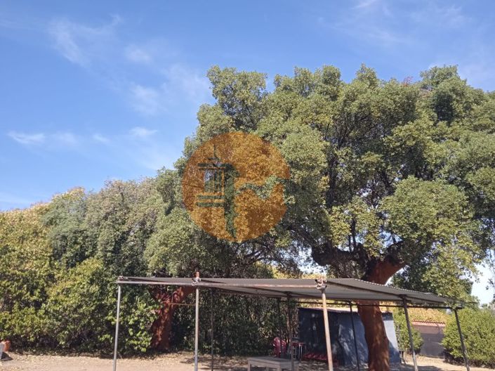 Image No.16-4 Bed House for sale