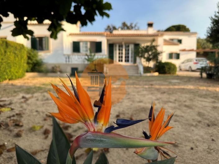 Image No.4-7 Bed House for sale