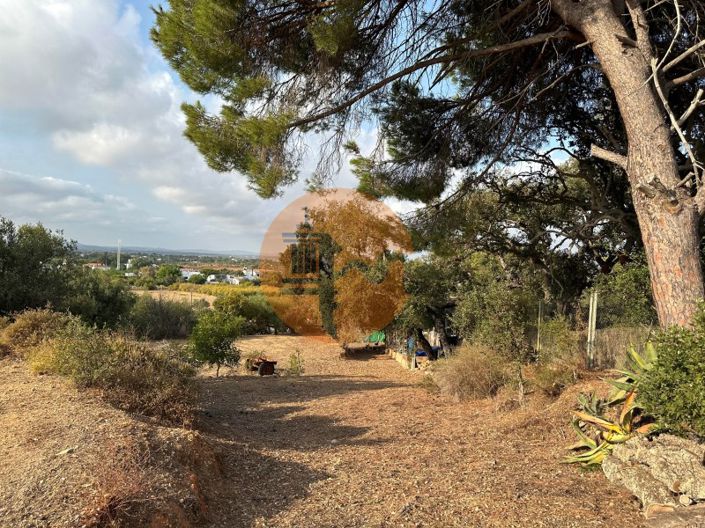 Image No.53-7 Bed House for sale