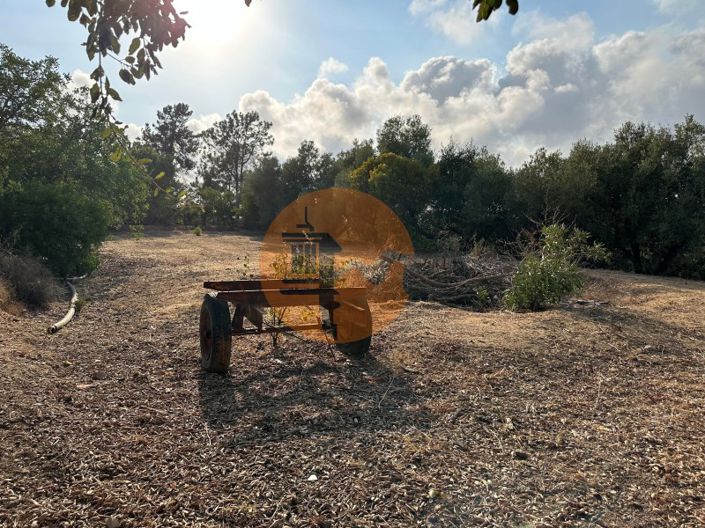 Image No.59-7 Bed House for sale