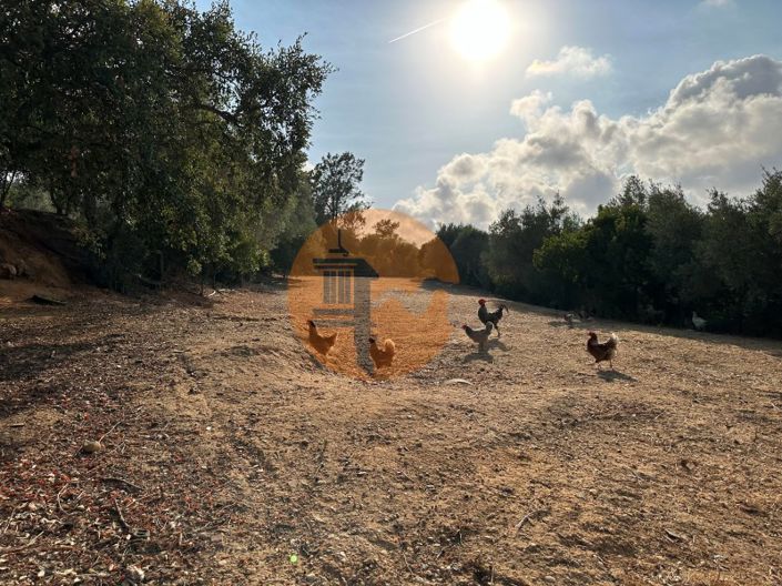 Image No.61-7 Bed House for sale