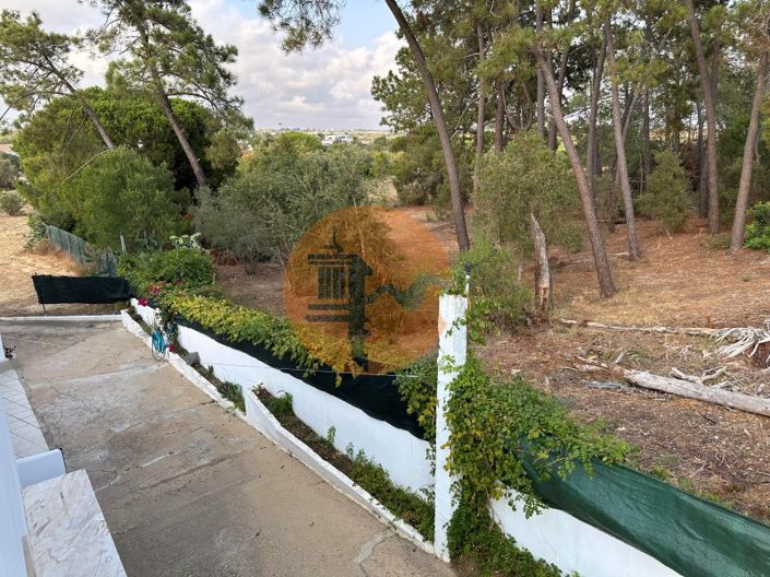 Image No.66-7 Bed House for sale