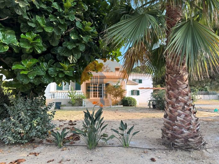 Image No.8-7 Bed House for sale