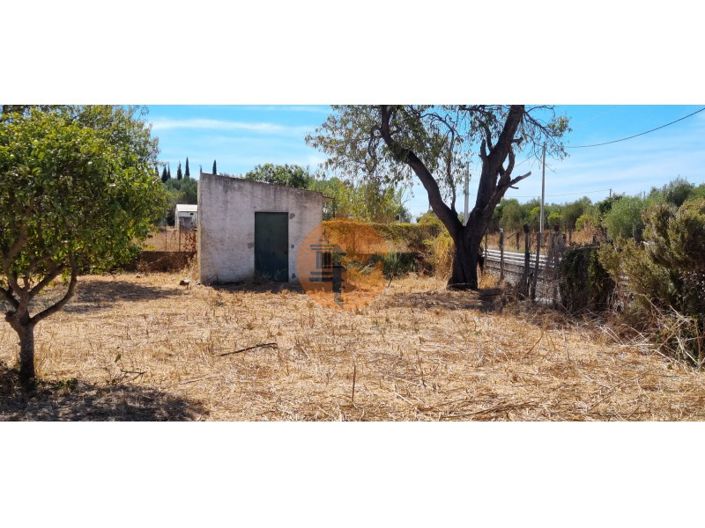 Image No.10-Plot for sale