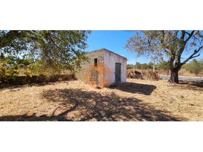 Image No.11-Plot for sale