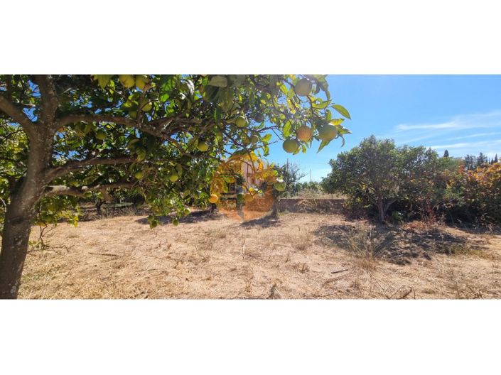 Image No.14-Plot for sale