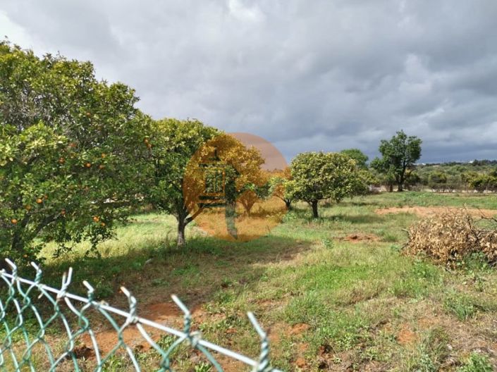 Image No.7-Plot for sale