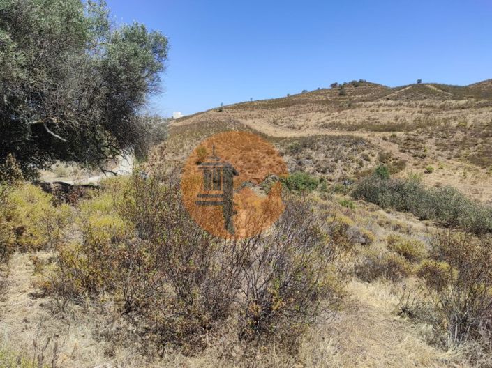 Image No.23-Plot for sale