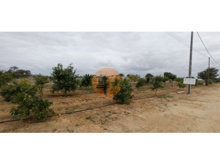 Image No.26-Un hôtel de 40 chambres à vendre à Albufeira