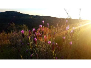 id5cfc8001-0000-0500-0000-000015fa152d