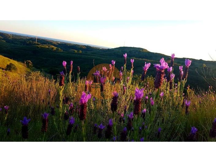 Image No.15-Plot for sale